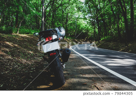 夏季自行車之旅 陽光穿過森林的曲線 a-3 啞光感覺 79844305