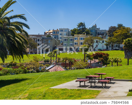 Sunny view of the Mission Dolores Park 79844566