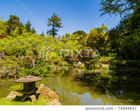 Sunny view of the Japanese Tea Garden in Golden Gate Park Sunny view of the Japanese Tea Garden in Golden Gate Park 79844687