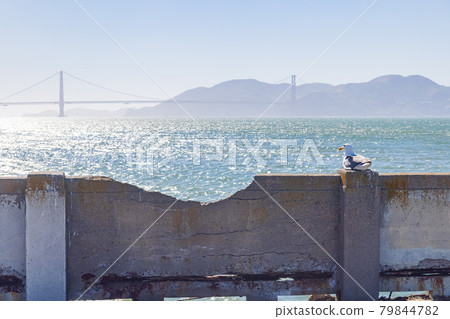 Sunny view of the Aquatic Park Cove 79844782