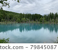 北海道美瑛的藍色池塘 79845087