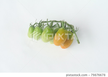 Growing Aiko Tomato Growing Aiko Tomato 79876678