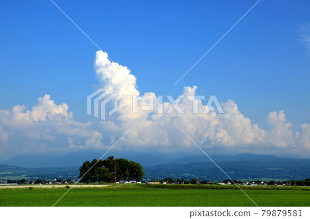 Summer Shonai Plain scenery Cumulonimbus Summer Shonai Plain scenery Cumulonimbus 79879581
