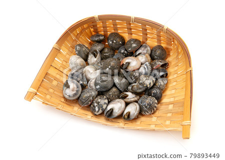 Boiled salted shellfish Boiled salted shellfish 79893449