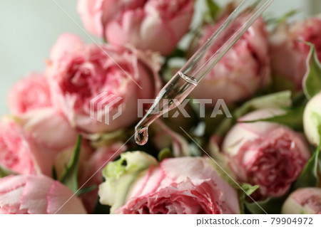 Rose essential oil falling from glass dropper Rose essential oil falling from glass dropper 79904972