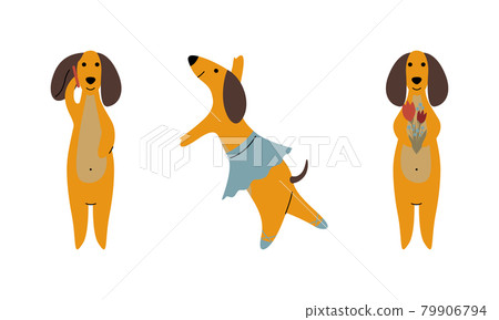 Comic Brown Dachshund Dog Ballet Dancing, Speaking by Phone and Holding Flower Bouquet Vector Set 79906794