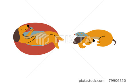 Comic Brown Dachshund Dog Drinking Cocktail and Sleeping Vector Set Comic Brown Dachshund Dog Drinking Cocktail and Sleeping Vector Set 79906830