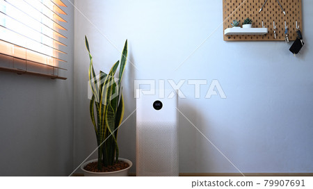 Air purifier and houseplant on floor in living room. Fresh air and healthy life. Air purifier and houseplant on floor in living room. Fresh air and healthy life. 79907691