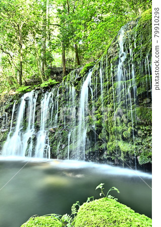 初夏和強大的瀑布 79910298
