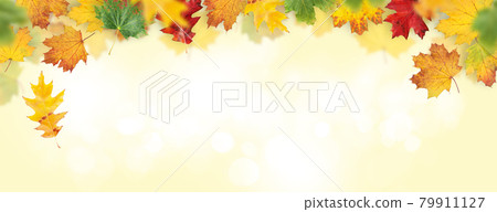 Autumn leaves backdrop Autumn leaves backdrop 79911127