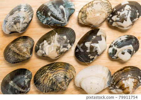 Nutrient-rich clams Nutrient-rich clams 79911754