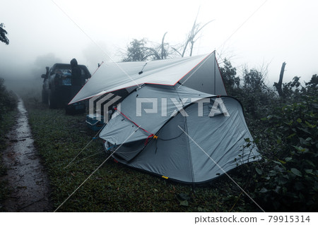 Camping in a foggy rainy day in the forest 79915314