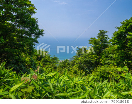 View the Sea of Japan from the top of the mountain (Mt. Yahiko, Yahiko Village, Niigata Prefecture) 79918618