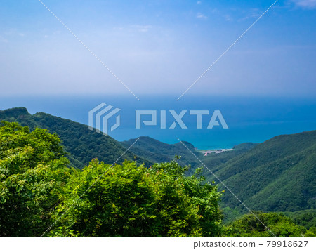 View the Sea of Japan from the top of the mountain (Mt. Yahiko, Yahiko Village, Niigata Prefecture) 79918627