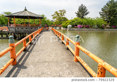 A moat in Kyuka Park, a beautiful azalea in Kuwana City, Mie Prefecture 79922329