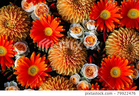 非洲菊、大麗花、玫瑰和crocosmia的插花 非洲菊、大麗花、玫瑰和crocosmia的插花 79922476