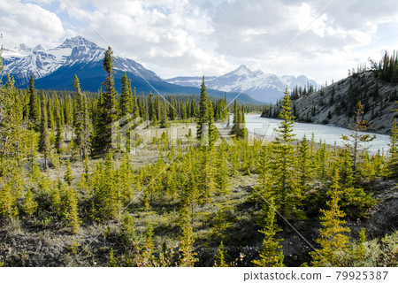 Spring Canadian Rockies Banff National Park North Saskatchewan River and Mountains (Canada) 79925387