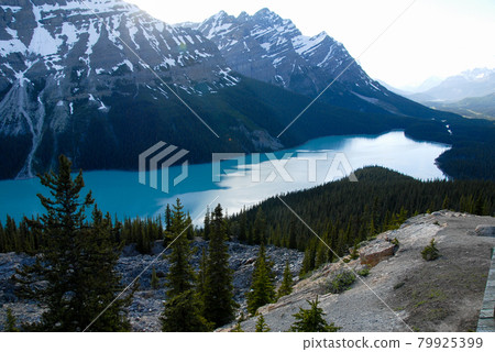 Spring Canadian Rockies Banff National Park at dusk Peyto Lake (Canada) Spring Canadian Rockies Banff National Park at dusk Peyto Lake (Canada) 79925399