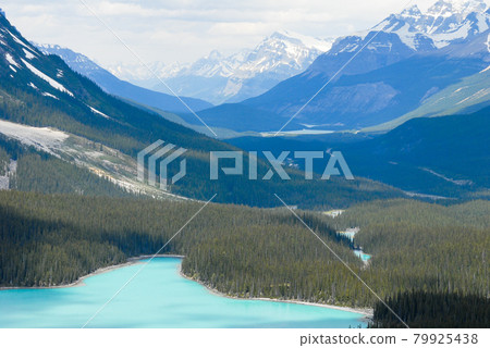 Spring Canadian Rockies Banff National Park Peyto Lake (Canada) Spring Canadian Rockies Banff National Park Peyto Lake (Canada) 79925438