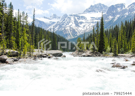 春季加拿大落基山脈 Mistaya Valley 春季加拿大落基山脈 Mistaya Valley 79925444