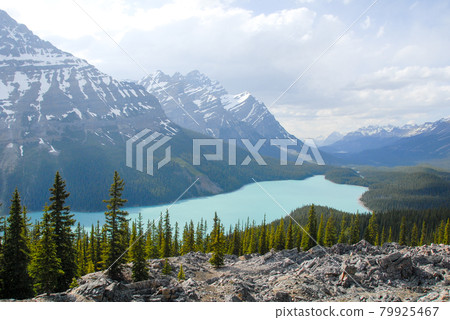 春季加拿大落基山脈班夫國家公園佩托湖（加拿大） 79925467