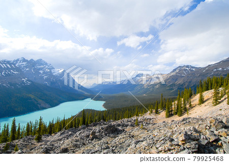 春季加拿大落基山脈班夫國家公園佩托湖（加拿大） 79925468