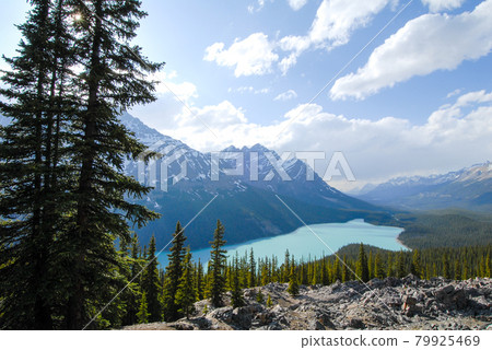 春季加拿大落基山脈班夫國家公園佩托湖（加拿大） 79925469