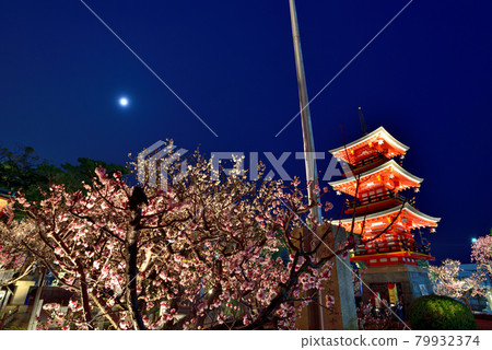 Suma's Tenjin-sama "Tsunashiki Tenmangu" Plum Blossom Festival 2021 79932374