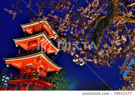 須磨的天神大人“綱敷天滿宮”梅花節2021 79932377