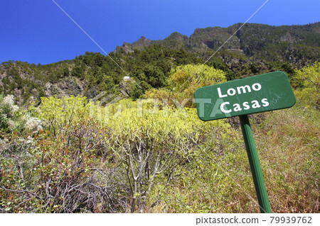 Lomo Casas. Barranco de las Angustias, Caldera de Taburiente National Park, Canary Islands, Spain Lomo Casas. Barranco de las Angustias, Caldera de Taburiente National Park, Canary Islands, Spain 79939762