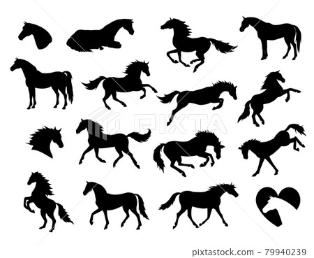 Vector set bundle of hand drawn horse silhouette Vector set bundle of hand drawn horse silhouette 79940239
