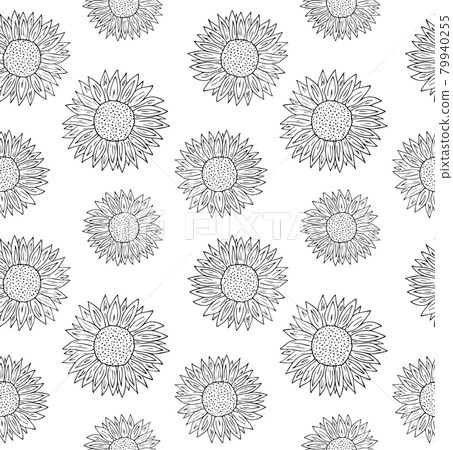 Vector seamless pattern of hand drawn sunflower 79940255
