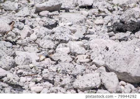 Concrete debris rubble 79944292