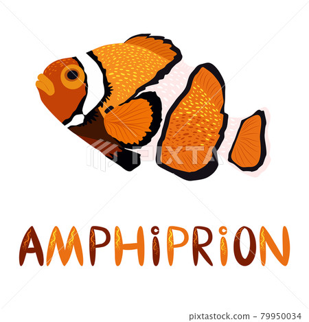 Amphiprion, Clownfish orange bright sea dweller in scandinavian style, hand drawn 79950034