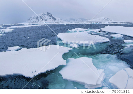 Drift floating Ice and Snowcapped Mountains, Arctic, Svalbard, Norway 79951811