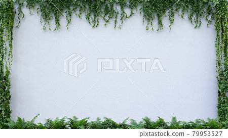 leaf background vine plant white concrete green border dedign 3D illustration leaf background vine plant white concrete green border dedign 3D illustration 79953527