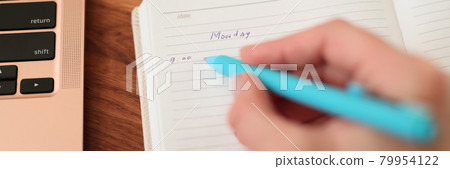 Woman writing plan in diary with pen closeup 79954122