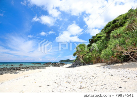 奄美大島笠町黃瀨 清爽的海景 79954541