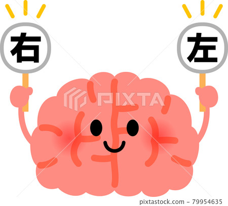 帶有左右標籤的大腦字符，左右腦 79954635