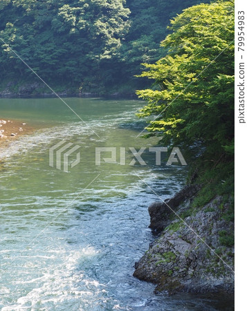 Suspension bridge in Takanosu [Sekikawa Village, Niigata Prefecture] 79954983