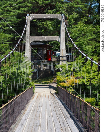 Suspension bridge in Takanosu [Sekikawa Village, Niigata Prefecture] 79954985