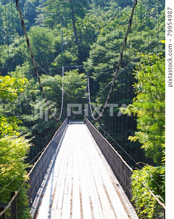 Suspension bridge in Takanosu [Sekikawa Village, Niigata Prefecture] 79954987