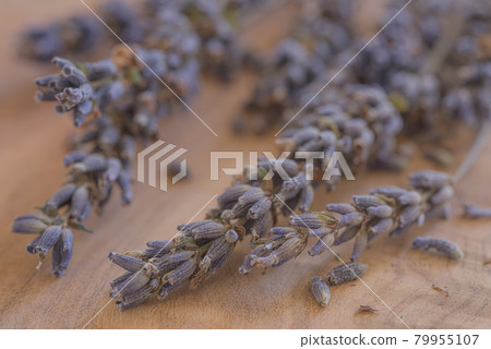 Dried lavender potpourri, dried lavender on a tree, potpourri, 79955107