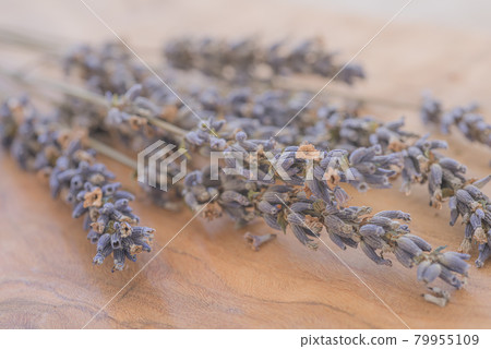 Dried lavender potpourri, dried lavender on a tree, potpourri, 79955109