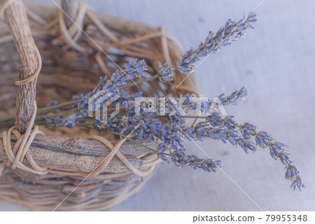 Lavender potpourri in a basket, basket and dry lavender, potpourri, 79955348