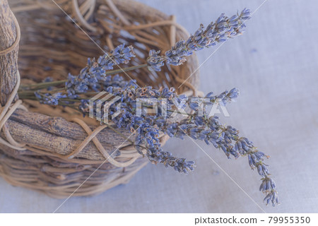 Lavender potpourri in a basket, basket and dry lavender, potpourri, Lavender potpourri in a basket, basket and dry lavender, potpourri, 79955350