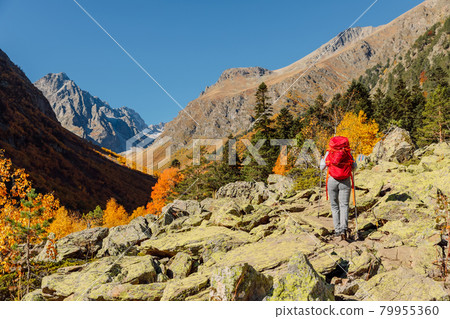 Hiker with backpack enjoying view in the autumnal mountains. Mountain and woman tourist Hiker with backpack enjoying view in the autumnal mountains. Mountain and woman tourist 79955360