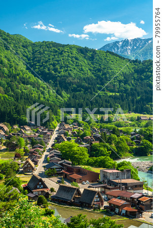 "Gifu Prefecture" Shirakawa-go whole view, early summer "Gifu Prefecture" Shirakawa-go whole view, early summer 79955764