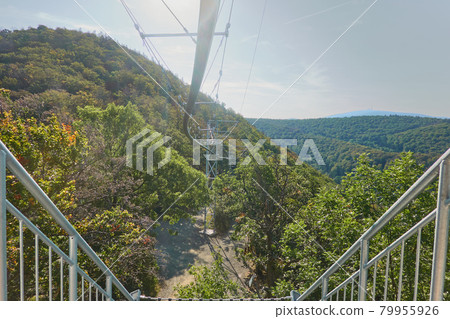Start of the tree suspension railroad that transports tourists through the treetops, Bad Harzburg, Germany Start of the tree suspension railroad that transports tourists through the treetops, Bad Harzburg, Germany 79955926