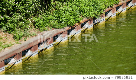 Embankment with rusty sheet pile walls to support the banks of a canal Embankment with rusty sheet pile walls to support the banks of a canal 79955931
